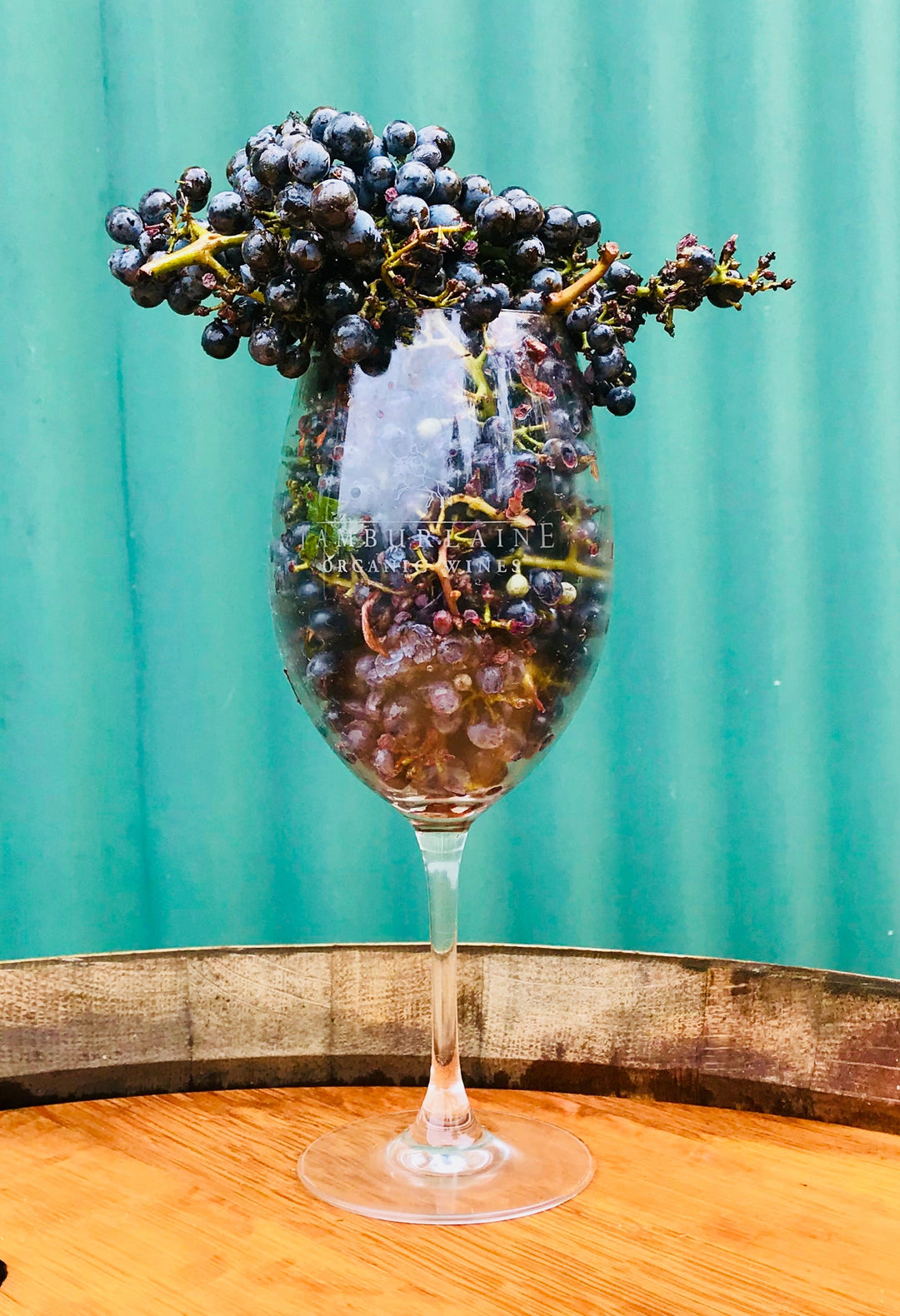 We are now Vegan-Friendly!