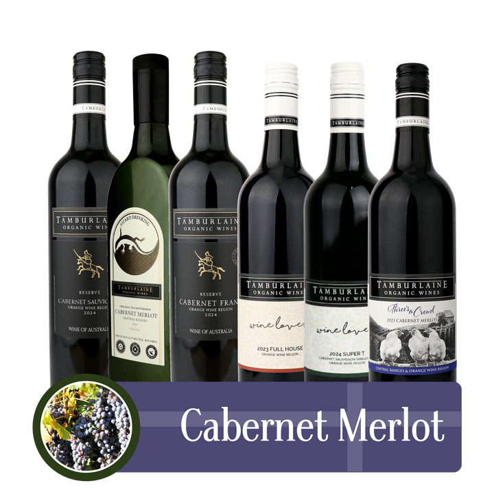Cabernet Bundle 6 pack