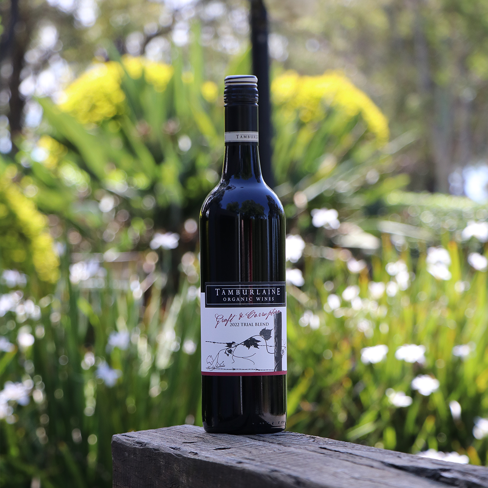 Mark Davidson Signature Series Trial Blend Dozen